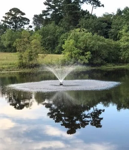 Fountain spraying water in a serene pond.