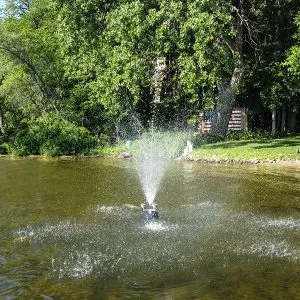 Fountain spraying water in a sunny, tree-lined pond.