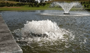 The Significance of Aeration in Pond Restoration