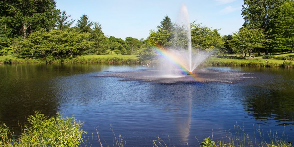 Rainbow,Through,A,Fountain,In,Pond,In,Summer,On,A